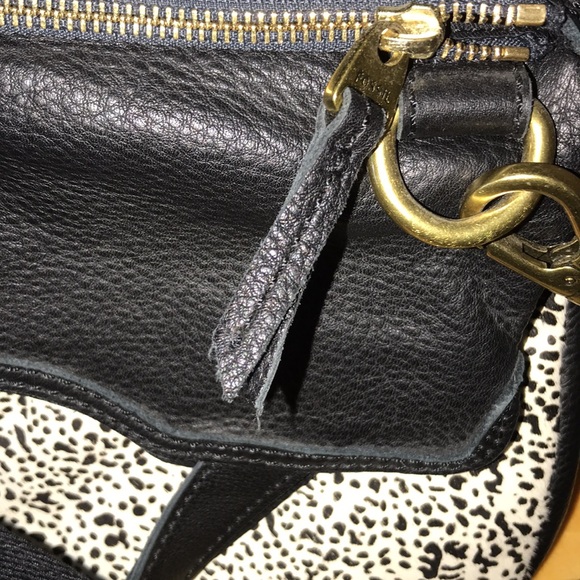 FOSSIL - Picture 3 of 7